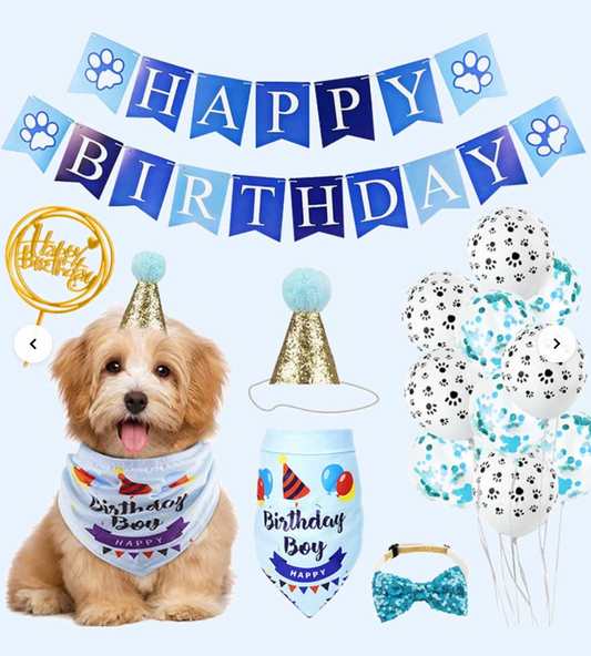 Blue Complete Pet Birthday  Party  Pack  For Dogs Or Cats