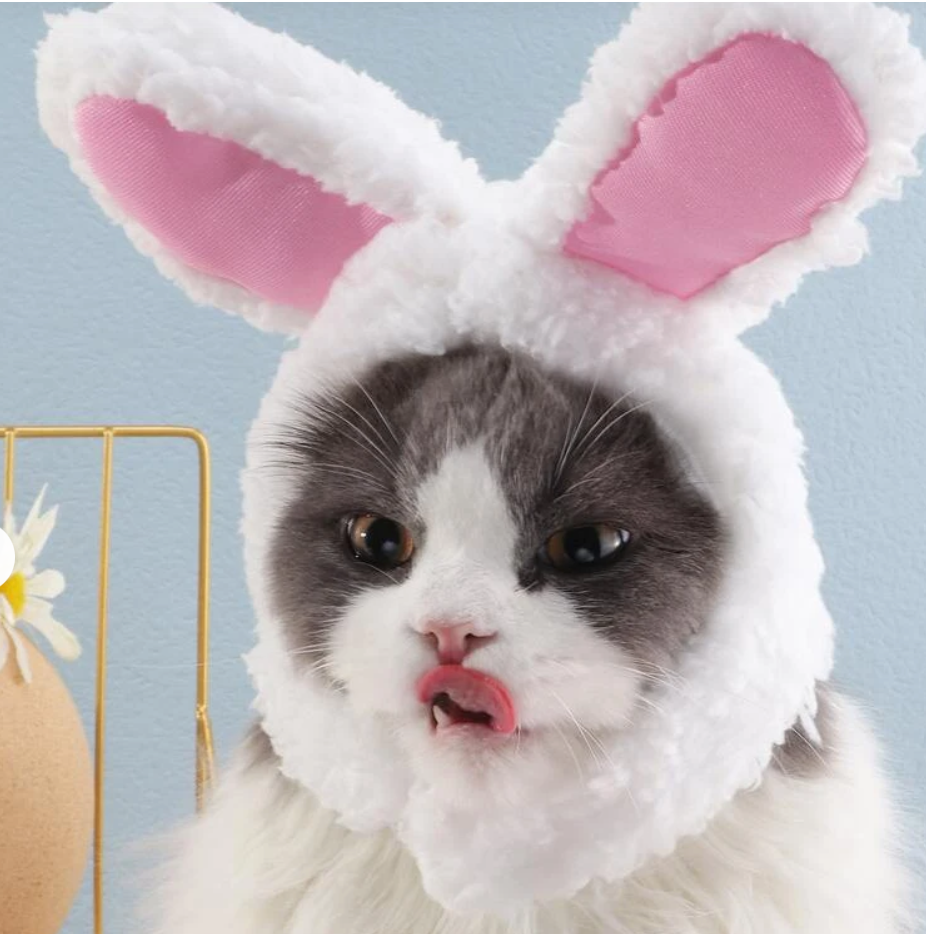 Bunny Ears Pet Hat for Dogs and Cats