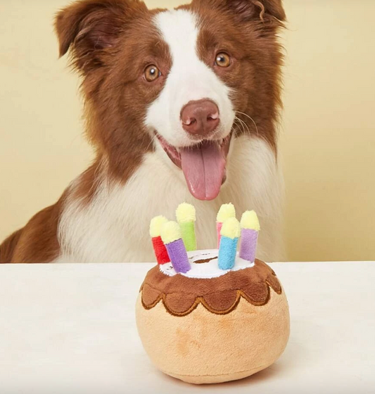 Happy Birthday Cake Pet Plush Dog Toy and Cat Toy