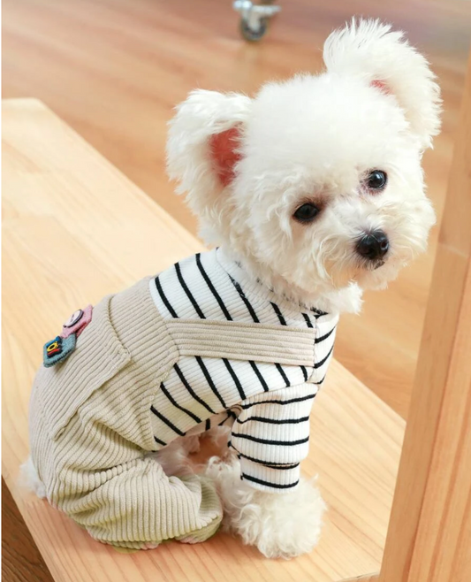 Pet Striped Ribbed T-Shirt and Cord  Dungaree Outfit for Dogs and Cats