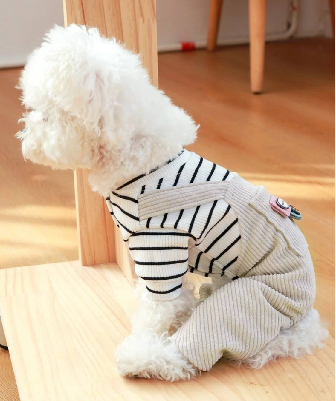 Pet Striped Ribbed T-Shirt and Cord  Dungaree Outfit for Dogs and Cats