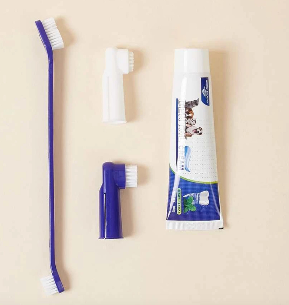 Pet 4 Peice Dental Care Kit for Dogs and Cats Toothpaste and Toothbrushes