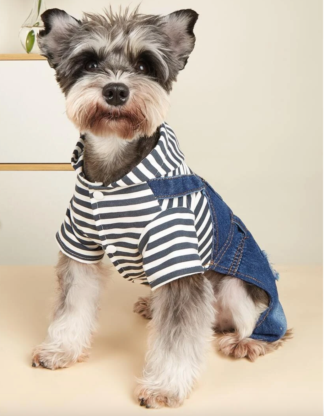 Pet Striped T Shirt and Denim Jeans Dungaree Outfit for Dogs and Cats