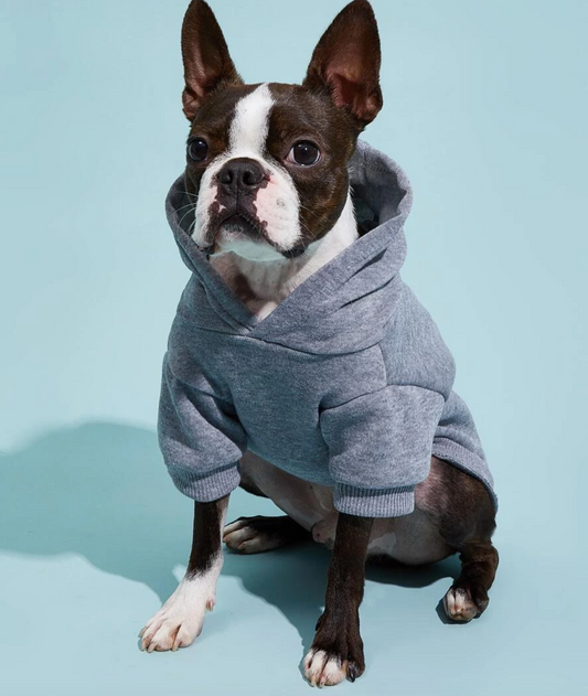 Grey Pet Hoodie for Dogs and Cats