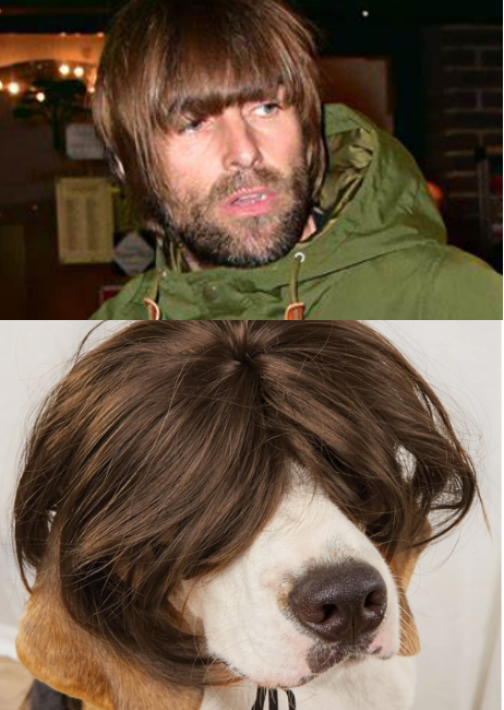 Liam Gallagher Dress Up Pet Wig