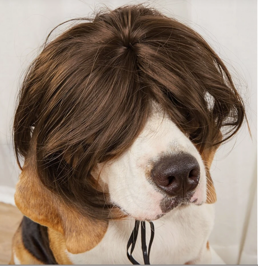Liam Gallagher Dress Up Pet Wig