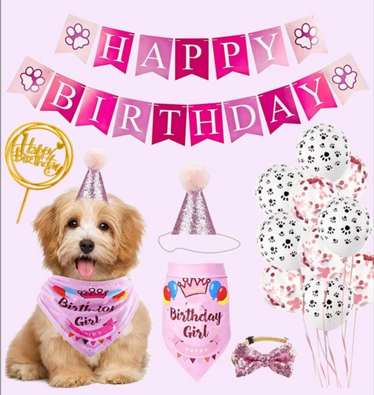 PINK COMPLETE PET BIRTHDAY PARTY PACK FOR DOGS OR CATS