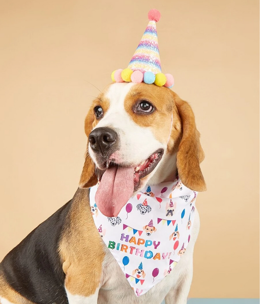 Pet Happy Birthday Hat and Banana Set for dogs and cats