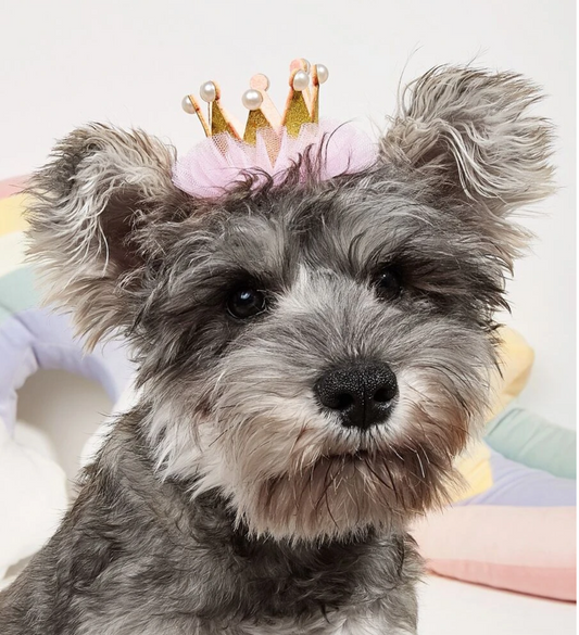 Pet Princess Crown  Party Hat