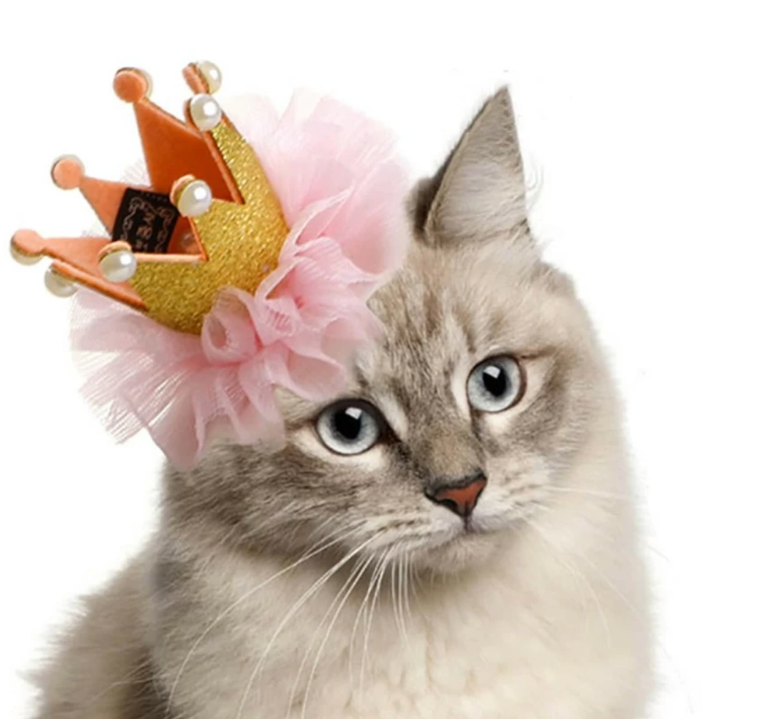 Pet Princess Crown  Party Hat