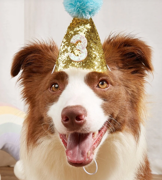 GLITTER DOG & CAT AGE HAPPY BIRTHDAY HAT