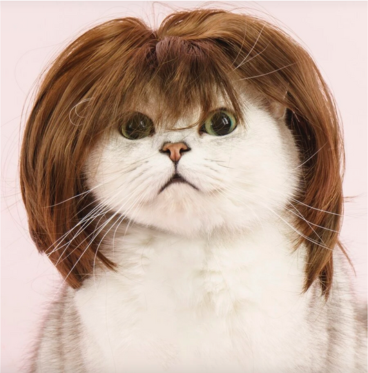 Anna Wintour Dress Up Pet Wig for Dogs and Cats