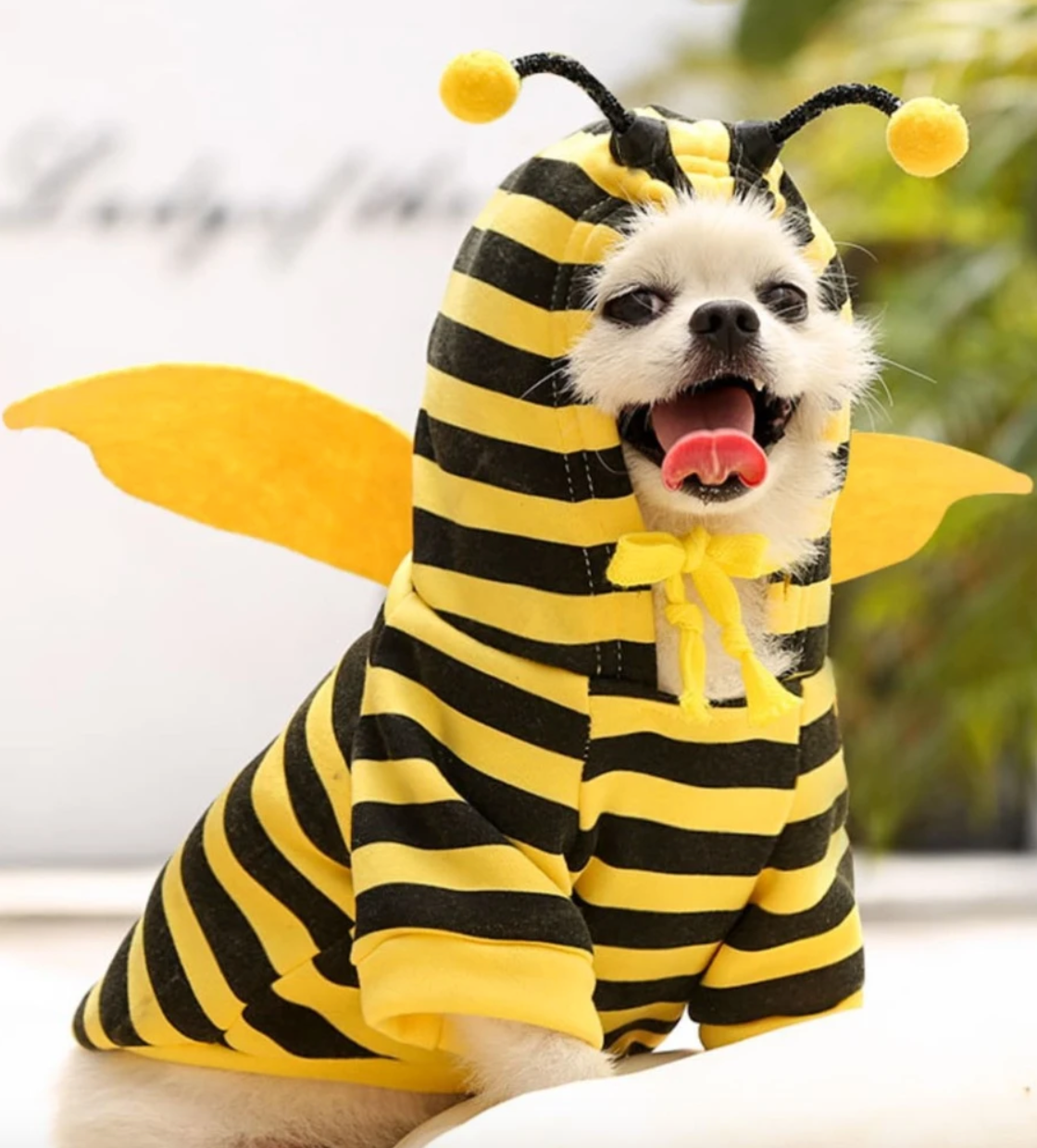 Buzzy Bee Pet Fancy Dress Hoodie Outfit for Dogs and Cats