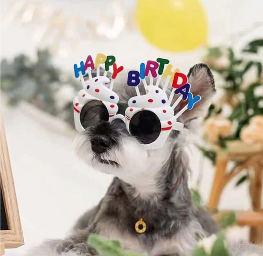 DOG HAPPY BIRTHDAY PARTY GLASSES