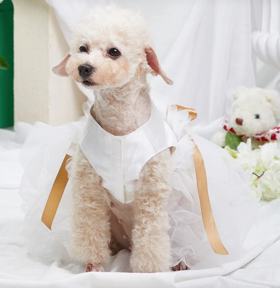 Pet White Tulle Wedding Dress Outfit for Dogs and Cats