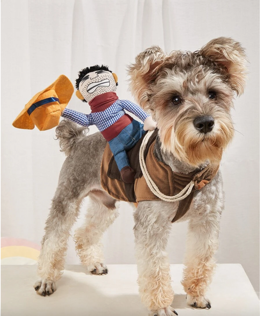 Cowboy Horse Riding Fancy Dress Costume for Dogs and Cats
