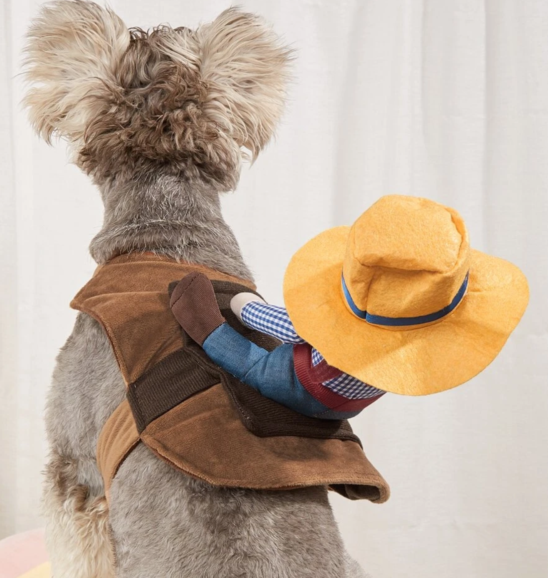 Cowboy Horse Riding Fancy Dress Costume for Dogs and Cats