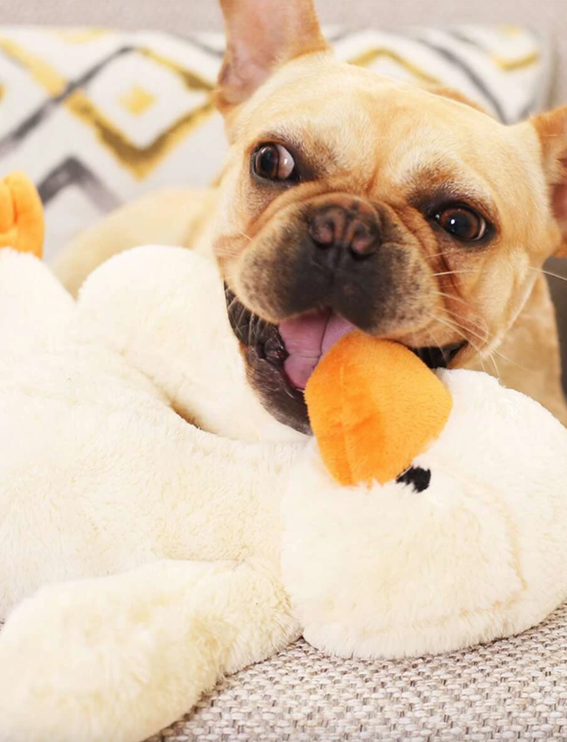 Dog Plush Duck Squeaky Toy