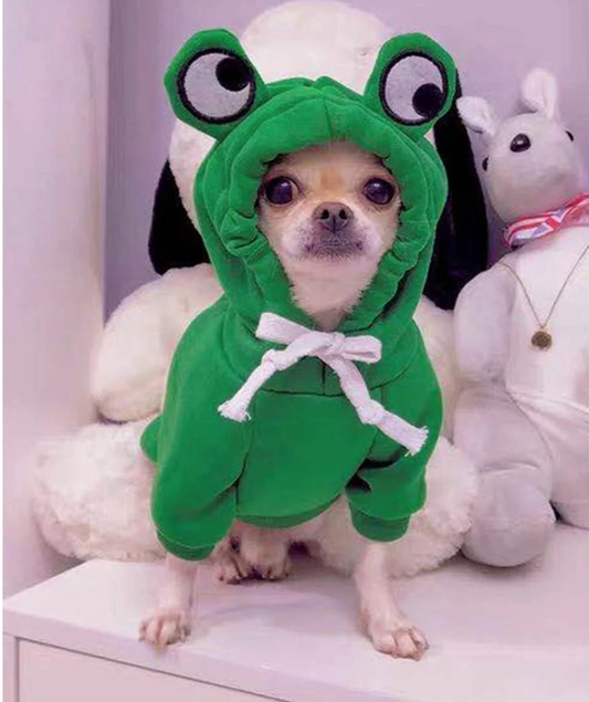 Green Frog Pet Fancy Dress Hoodie Outfit for Dogs and Cats