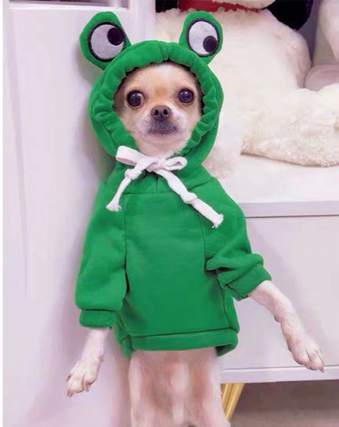 Green Frog Pet Fancy Dress Hoodie Outfit for Dogs and Cats