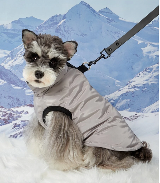 Grey Padded Waterproof Dog Coat