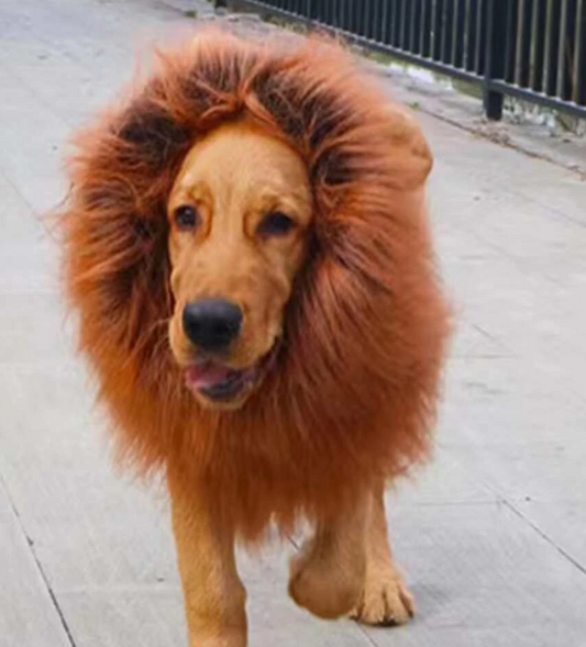 Simba Lion Mane Fancy Dress Costume for Dogs and Cats