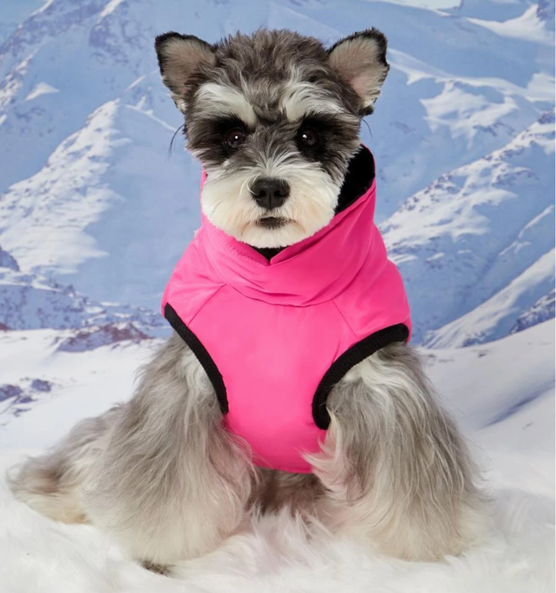 Pink  Padded Waterproof Dog Coat