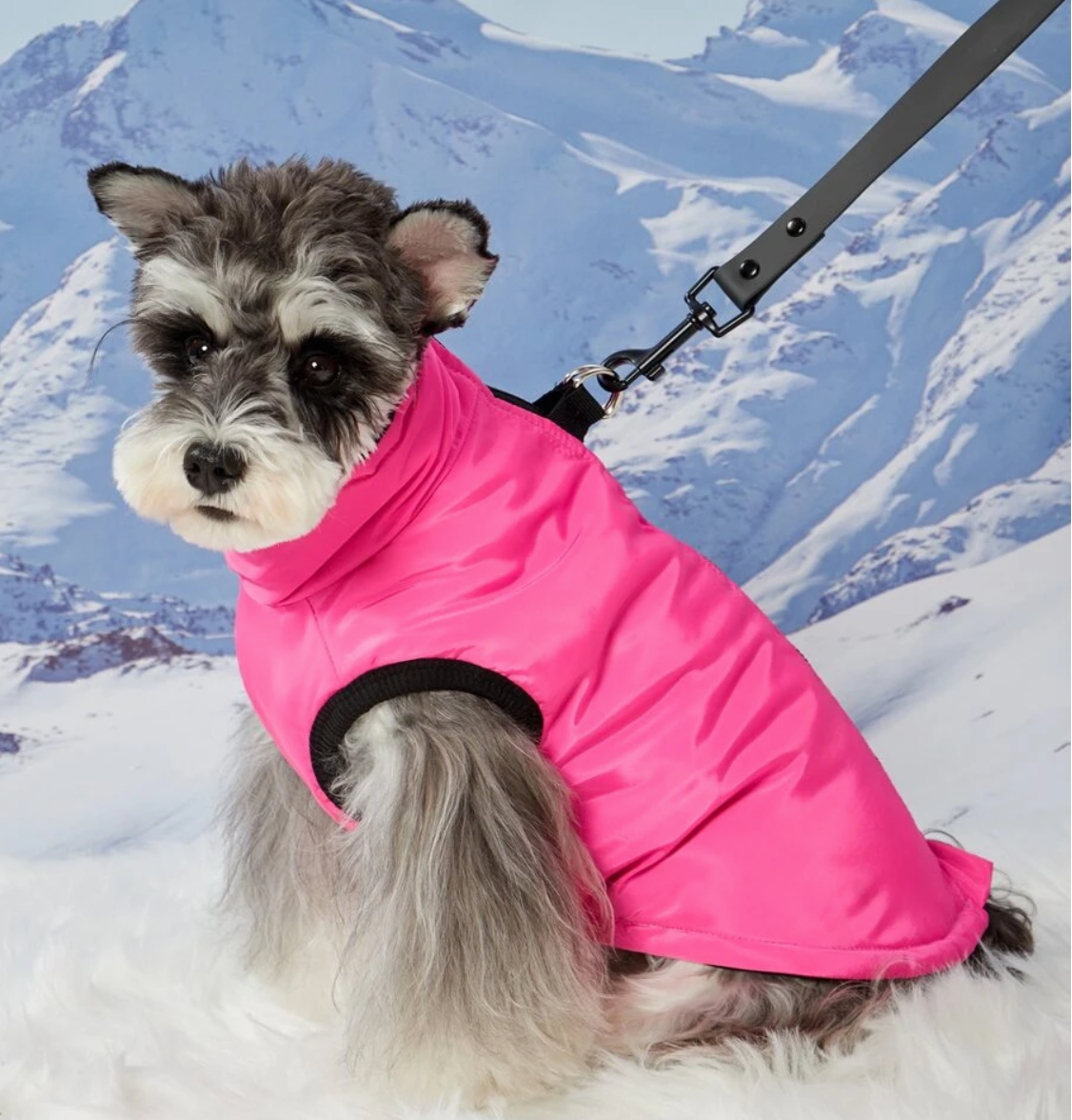 Pink  Padded Waterproof Dog Coat