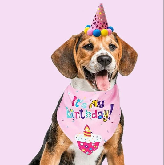 Pink pet birthday bandana for dogs and cats