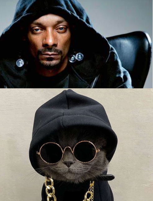 Snoop Dog Pet Fancy Dress Hoodie Outfit