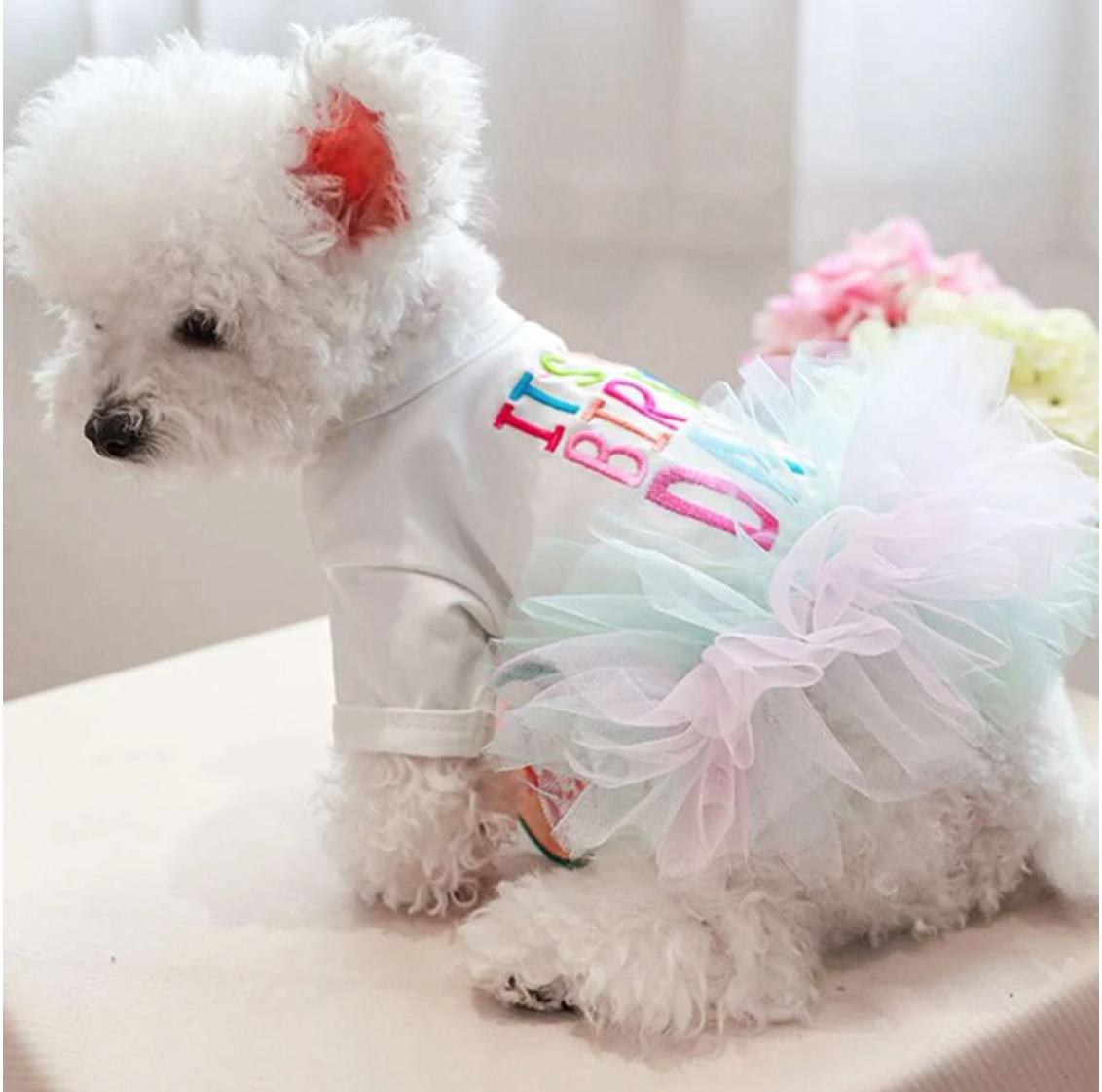 Tinker Bell Pet Happy Birthday Pink Tutu Outfit